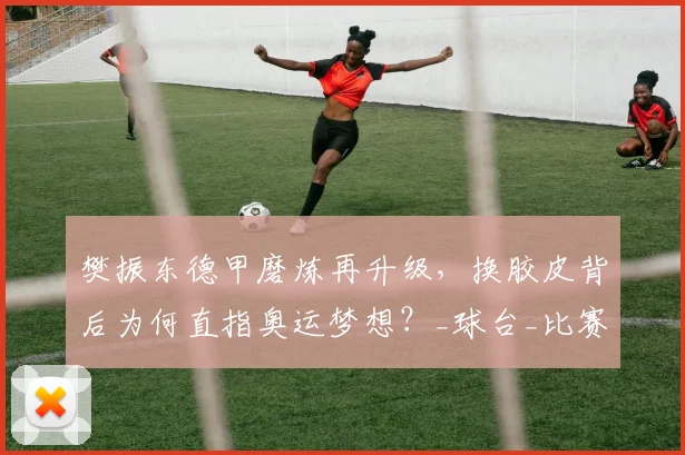 樊振东德甲磨炼再升级，换胶皮背后为何直指奥运梦想？_球台_比赛_装备