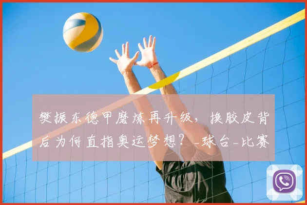 樊振东德甲磨炼再升级，换胶皮背后为何直指奥运梦想？_球台_比赛_装备